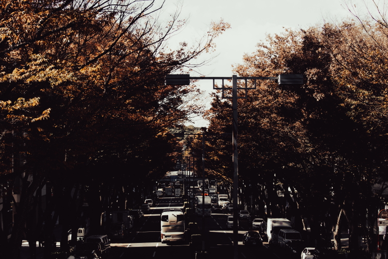 原宿　表参道